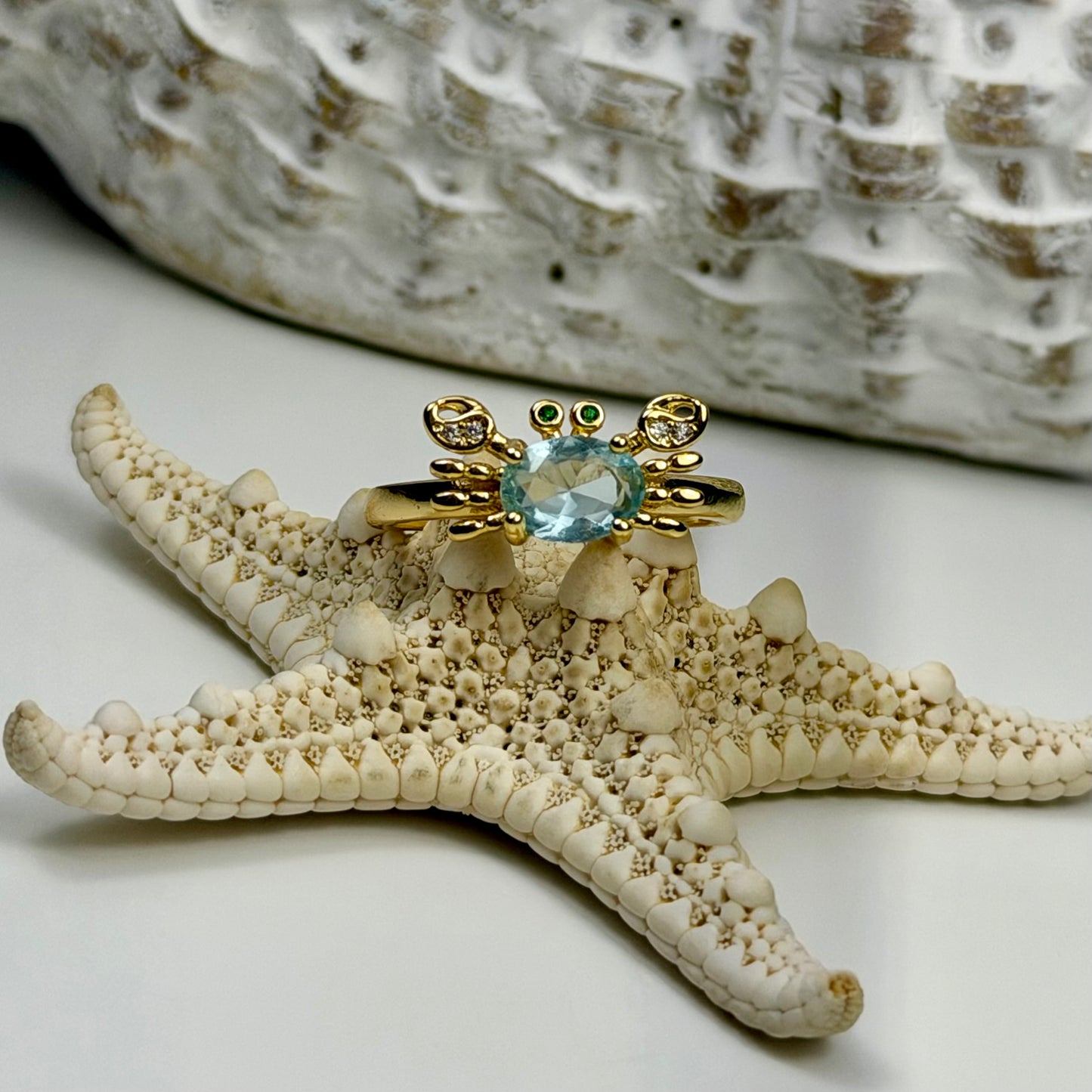 Sebastián Ring
