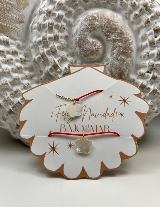 Christmas Bundle ✨