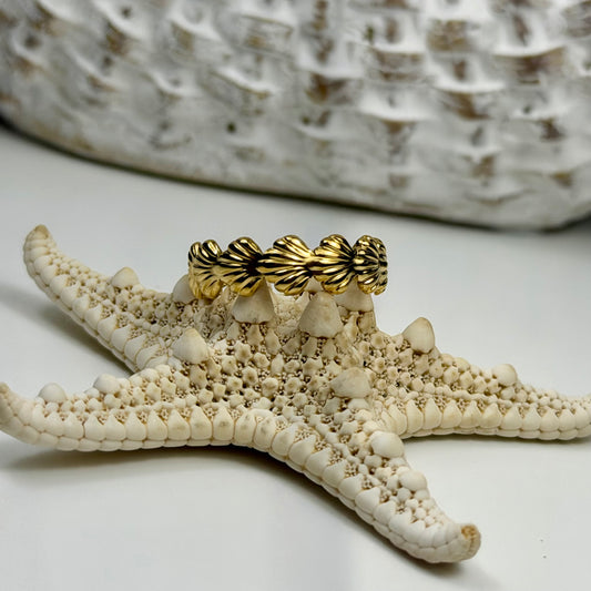 Shell Ring