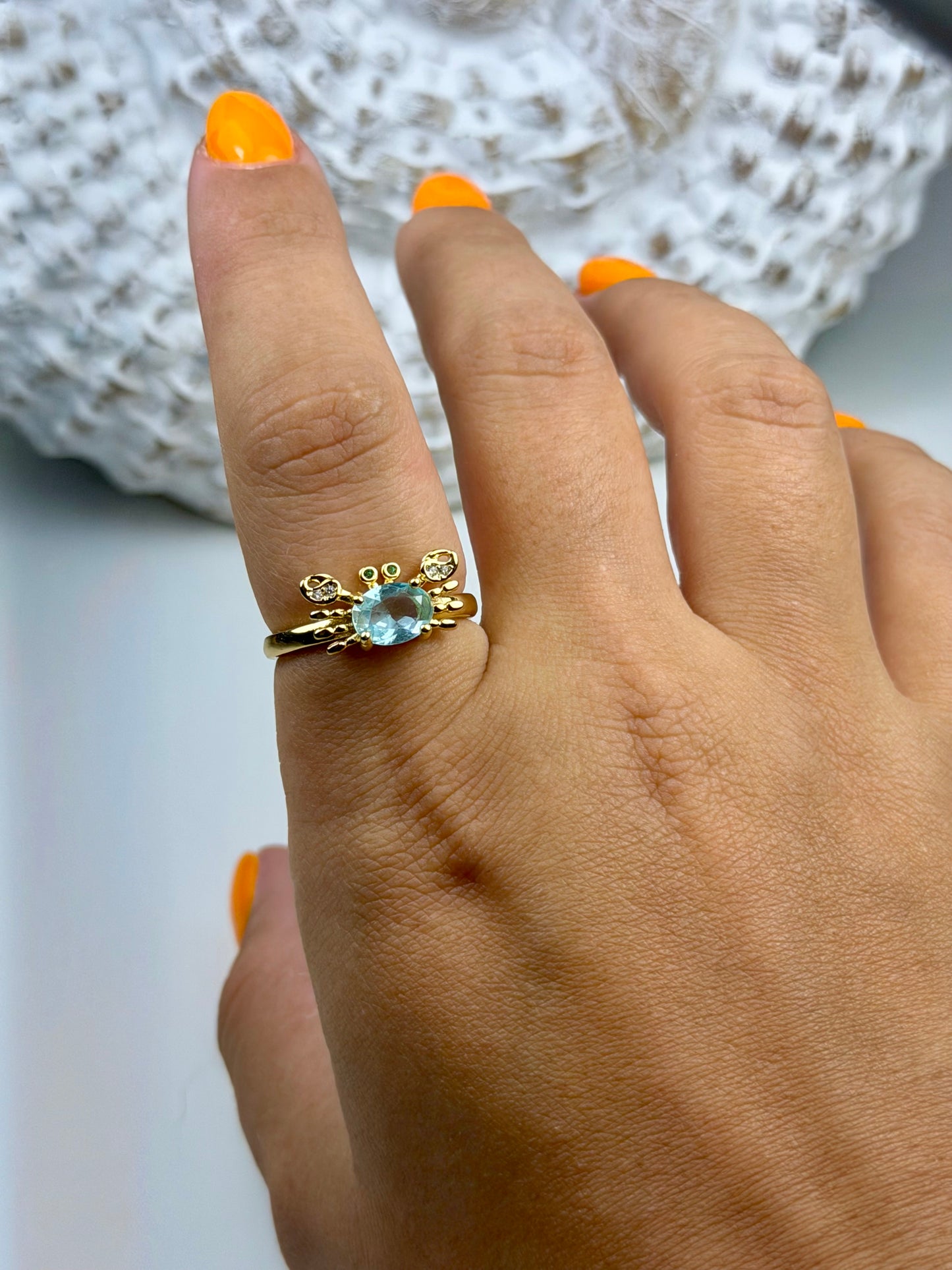 Sebastián Ring